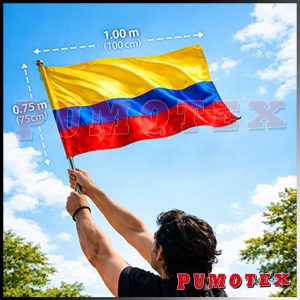 Bandera Mediana